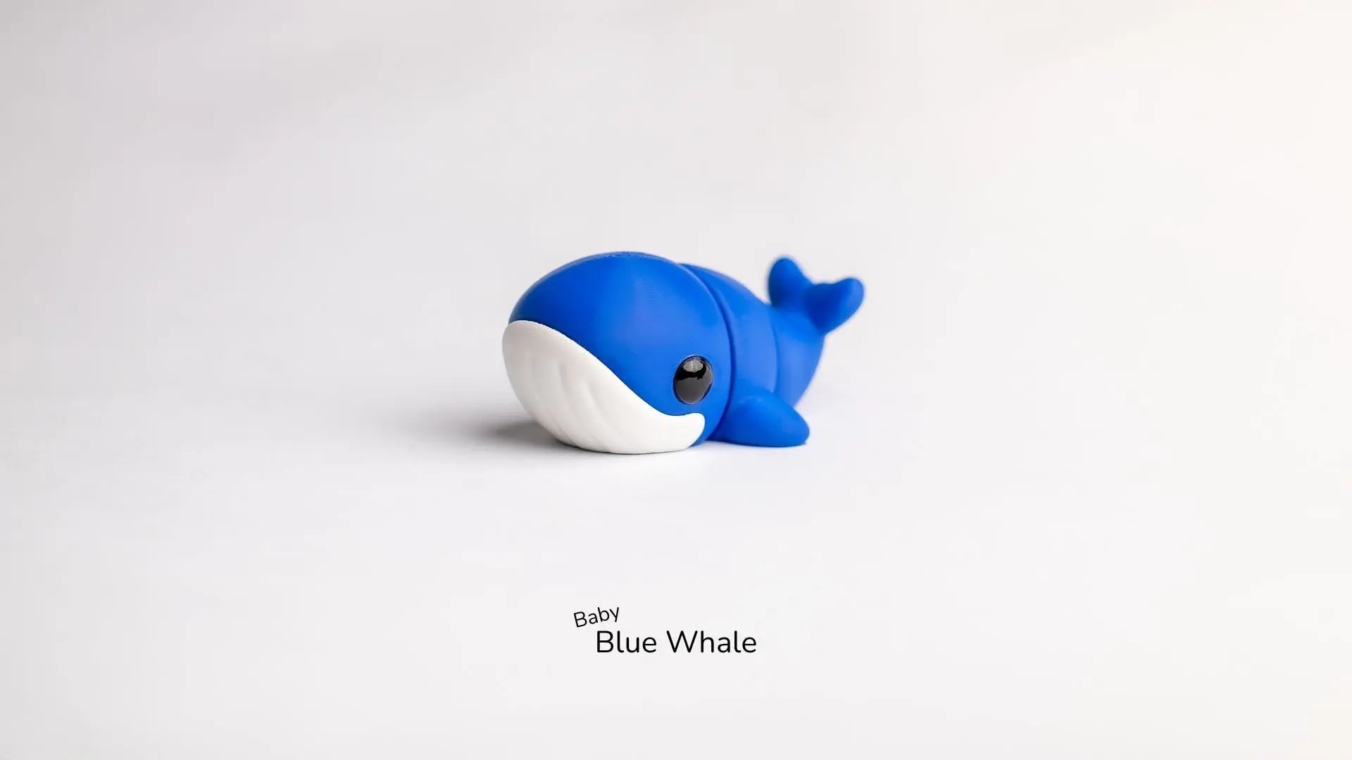 BALLENA - ECO ZIGGYS