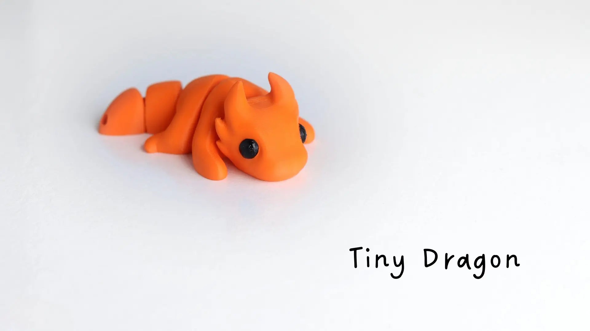 DRAGÓN - ECO ZIGGYS