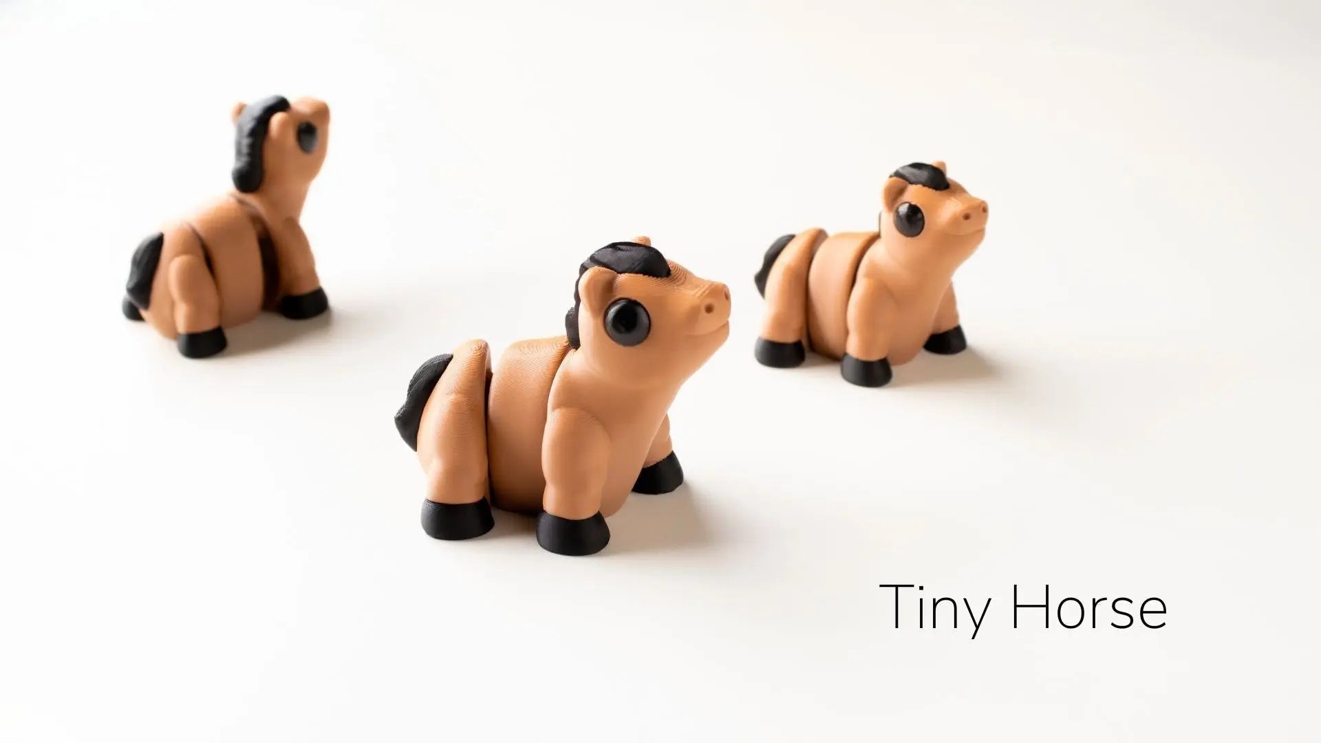 CABALLO - ECO ZIGGYS