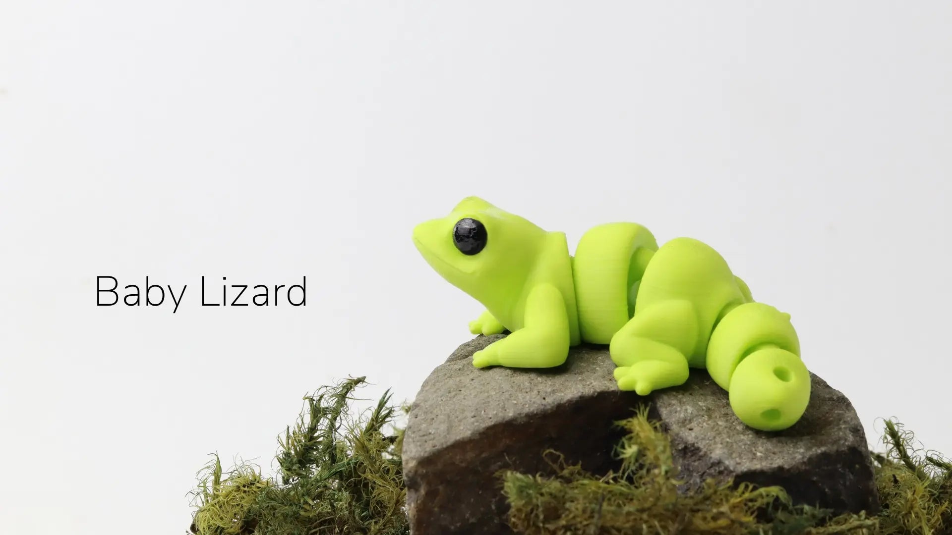 LAGARTO - ECO ZIGGYS