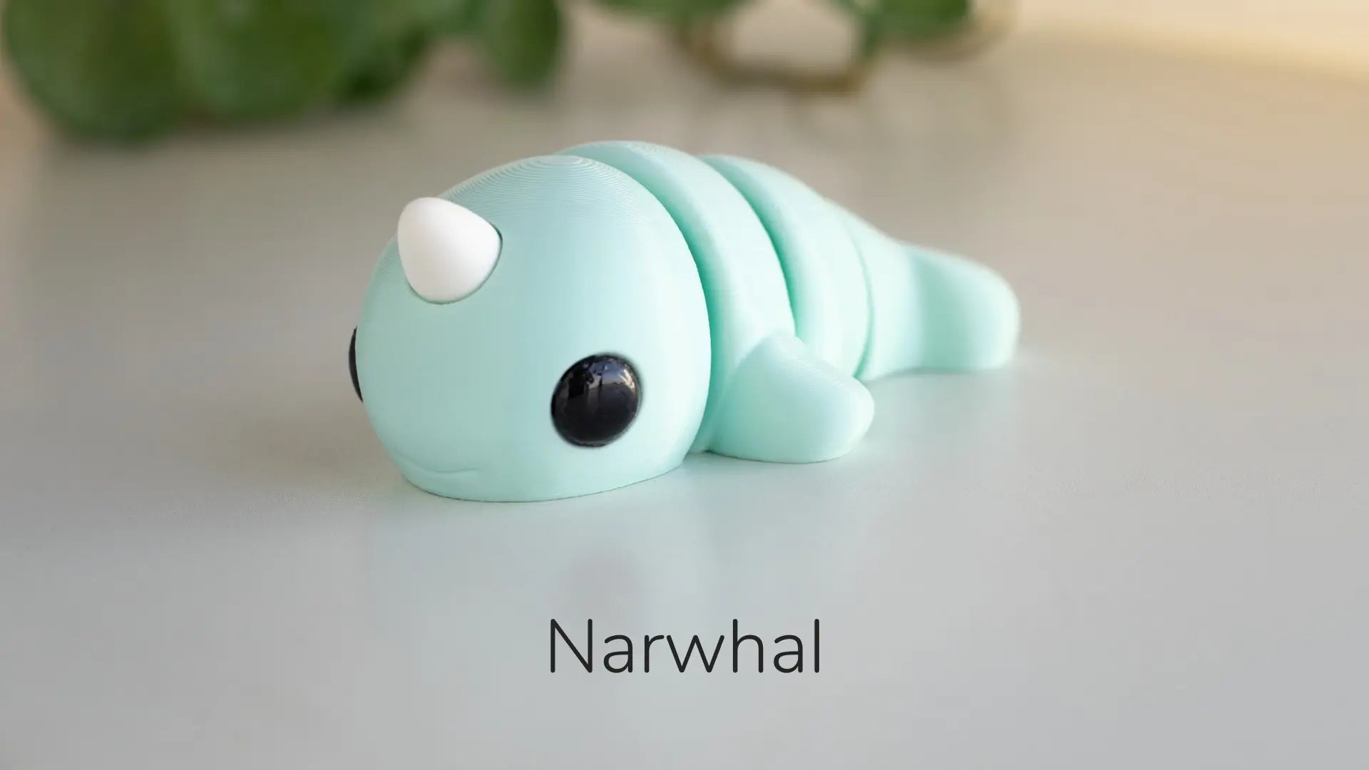 NARWHAL - ECO ZIGGYS