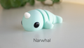 NARWHAL - ECO