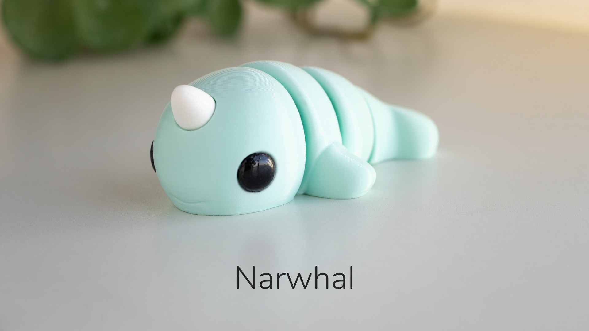NARWHAL - ECO