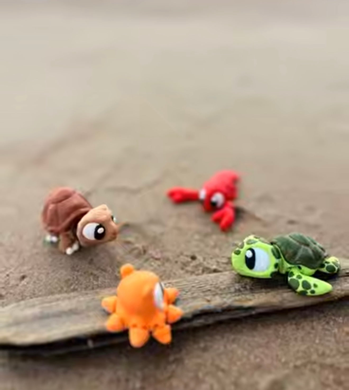 ¡Descubre la magia de lo inesperado con Ziggys! 🐾🌱