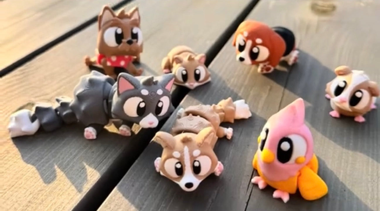 ¡Descubre la magia de lo inesperado con Ziggys! 🐾🌱