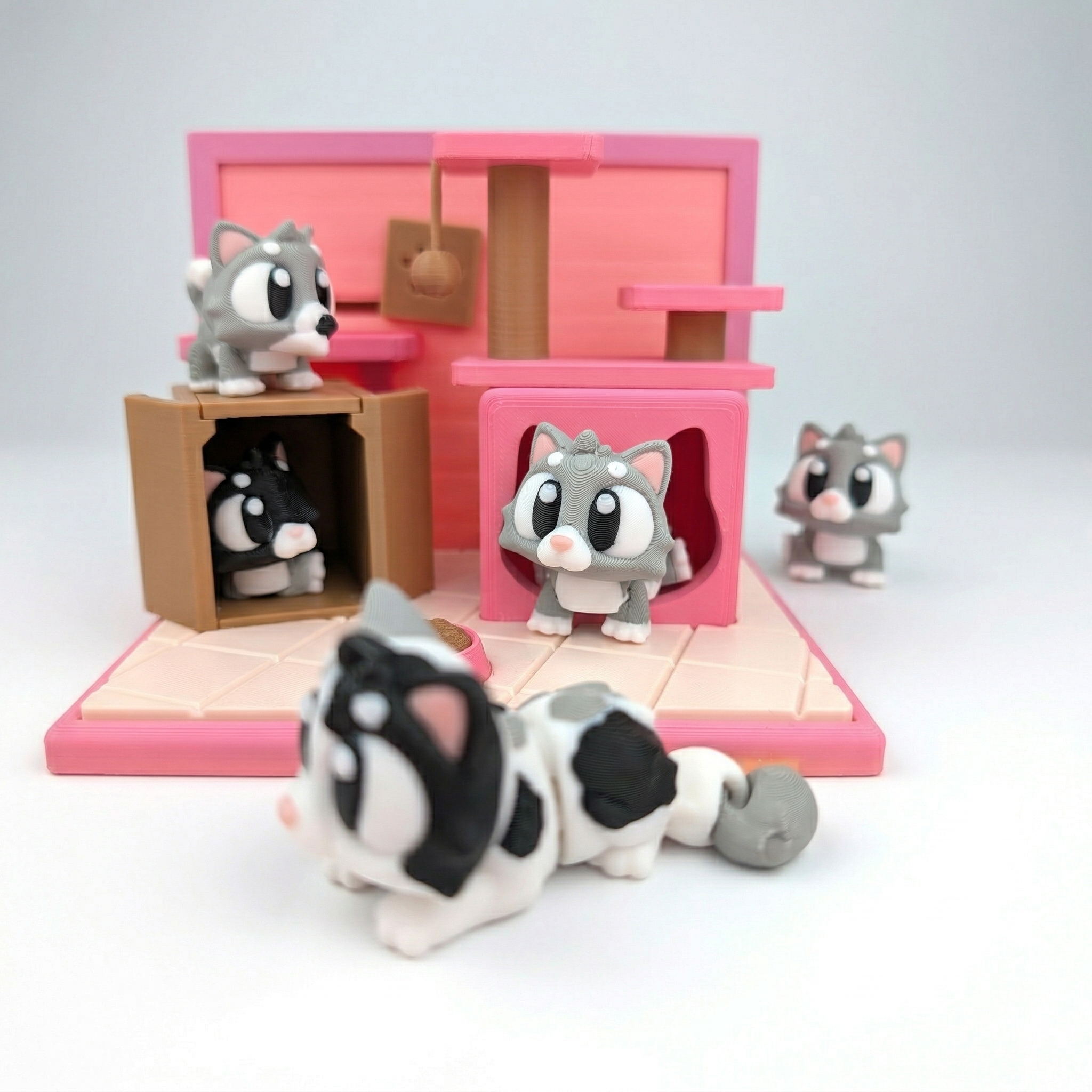 GATO - ECO PREMIUM ZIGGYS
