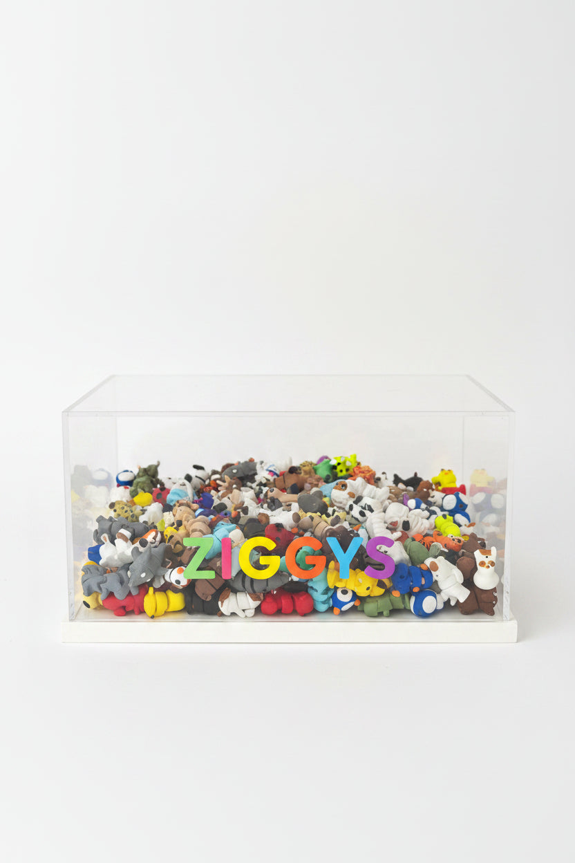 Ziggys Mini | Bolsita personalizada de figuras articuladas biodegradables ZIGGYS