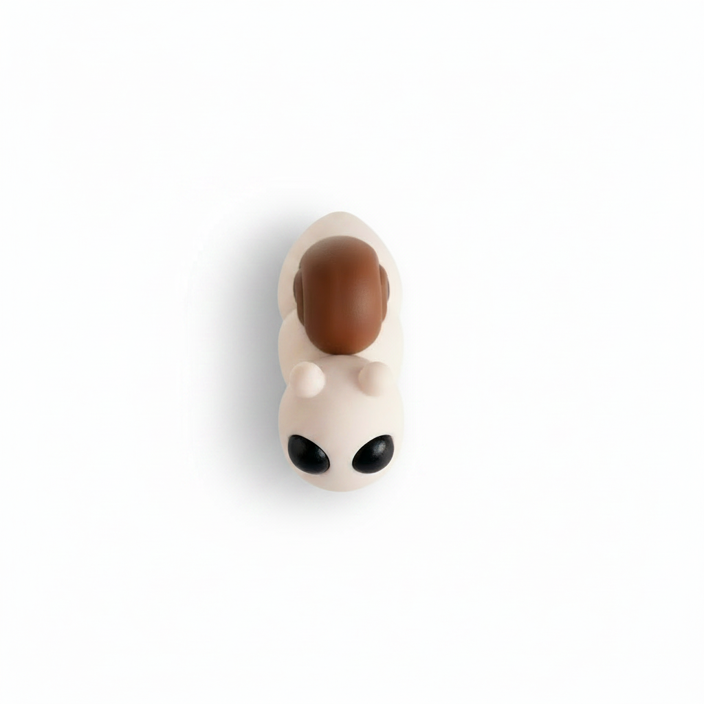 Caracol - ángulo bajo
